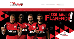 Desktop Screenshot of escolinhafla.com.br